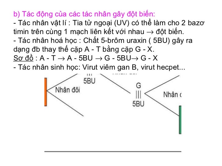 hoa chat 5bu gay nen dang dot bien nao